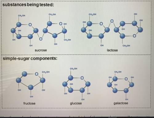 Use the molecular structures to predict which of the six solutions will test positive for glucose. W