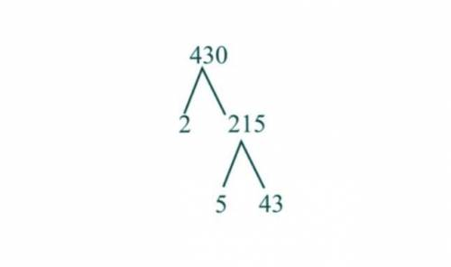 What is the prime factorization of 430