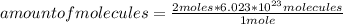 amount of molecules=\frac{2moles*6.023*10^{23}molecules }{1 mole}