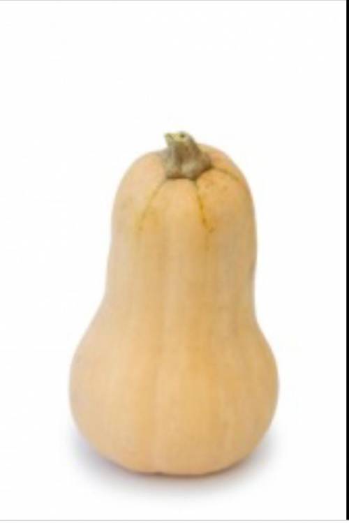 What does gourd mean?