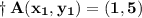 \dag\bf\:A(x_1,y_1)=(1,5)