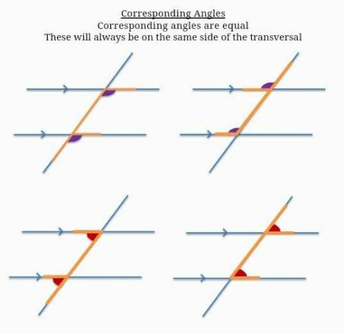 Parallel lines /////////////