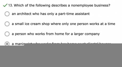 6. Which of the following describes a non-employee business? (1 point)

an architect who has only a