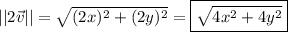 ||2\vec{v} || = \sqrt{(2x)^2 + (2y)^2} = \boxed{ \sqrt{4x^2 + 4y^2} }
