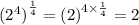 {( {2}^{4} )}^{ \frac{1}{4} }  =  {(2)}^{4 \times  \frac{1}{4} }  = 2