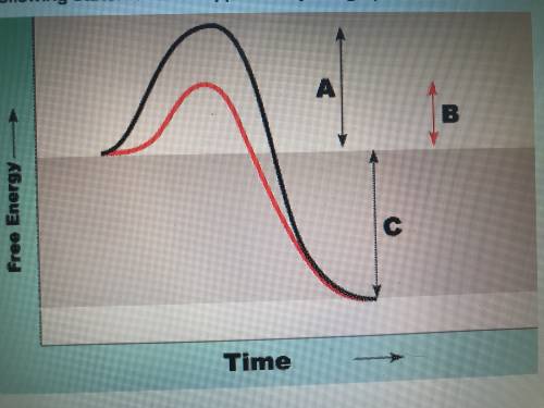 Which of the following statements is supported by the line graph above?