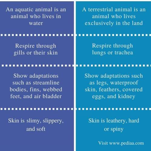 Difference between aquatic animals and terrestrial animal