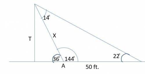 Mr. Santos wanted to know the height of the tree. He observed from a point A that the angle of eleva