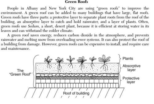 "people in albany and new york city are using “green roofs” to improve the environment. a green roof