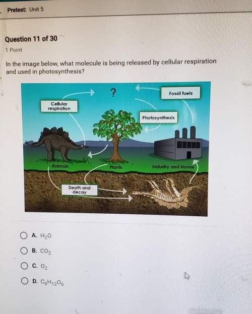 In the image below, what molecule is being released by cellular respiration and used in photosynthes