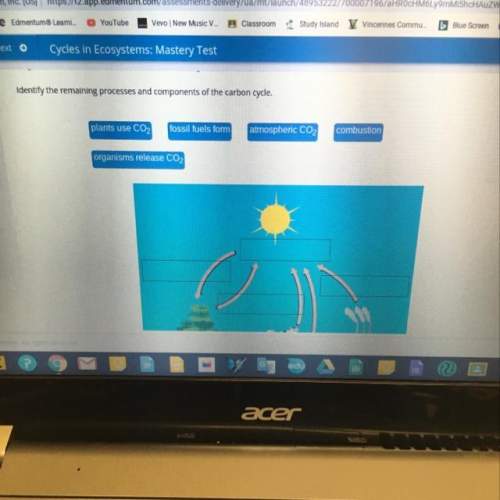 Identify the remaining processes and components of the carbon cycle. plants use co2 foss