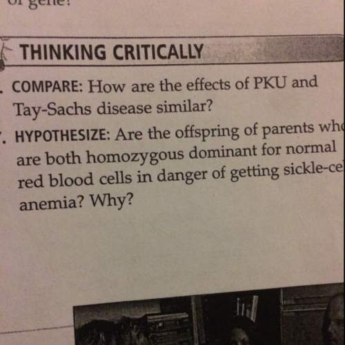 How are the effects of pku and tay-sachs disease similar ?