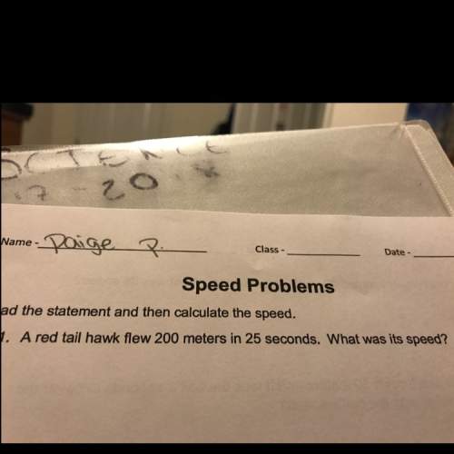 Ared tail flew 200 meters in 25 seconds. what was the speed?