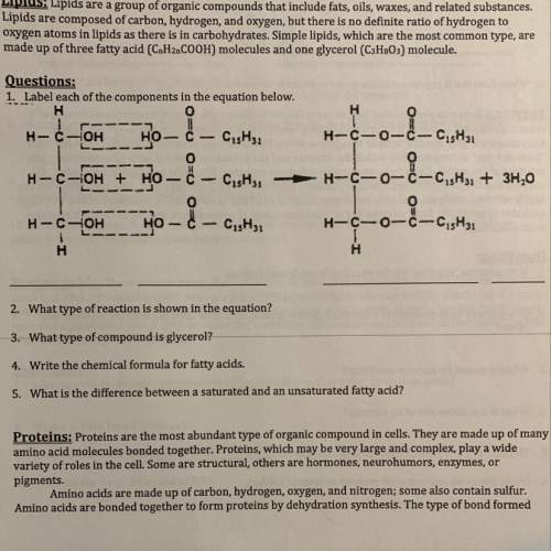 1.label each of the components in the equation  2.what type of reaction is shown in the equati