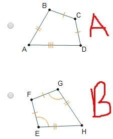 Which quadrilateral is a kite?