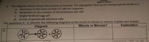 Is this mitosis or meiosis? and why?