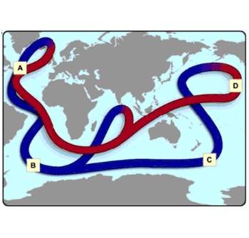 Where do warm surface currents descend to become cold deep water currents?  a. a