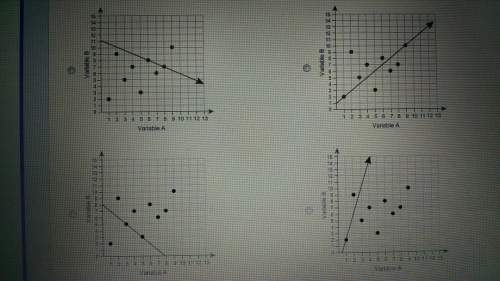 Which line is a linear model for the data?