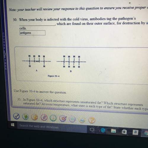 In figure 30-4 , which structure represents unsaturated fat? what structure represent saturated fat