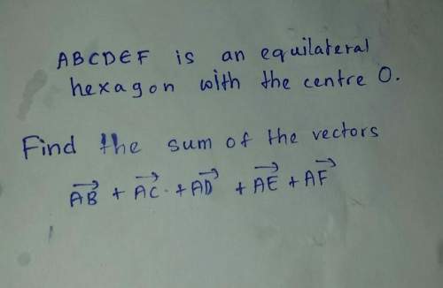 Someonle plzz me with this simple vector question