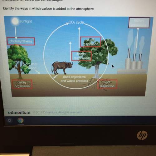 Identify the ways in which carbon is added to the atmosphere?