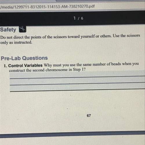 Control variables why must you use the same number of beads when you construct the second chromosome