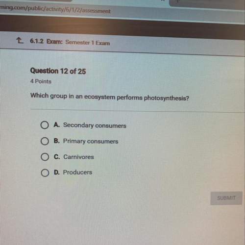 Which group in an ecosystem performs photosynthesis ?