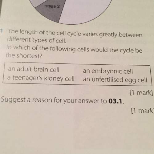 In which of the following cells would the cell cycle be the shortest?  an adult brain cell, a