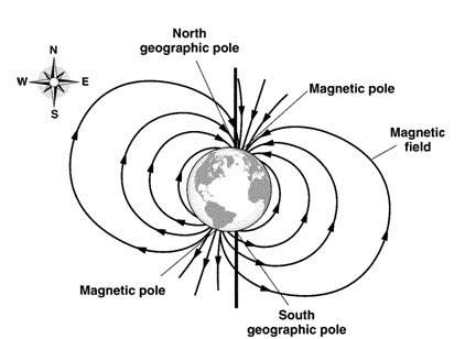 Determine in what direction he north pole of the compass will point what type of magnetic pole is th