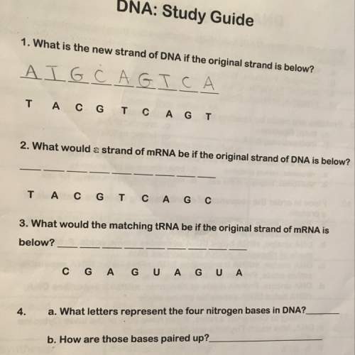 What would a strand of mrna be if the original strand of dna is below
