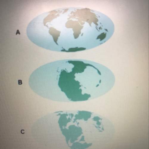 Use the visuals to answer the question. which describes the order of how the continents changed posi