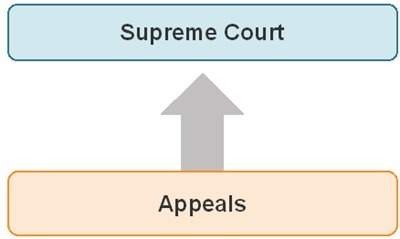 The diagram shows one way that cases reach the supreme court. the diagram is an example of a.