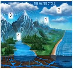 in the water cycle shown below, which process is happening at step 3precipitationmelti