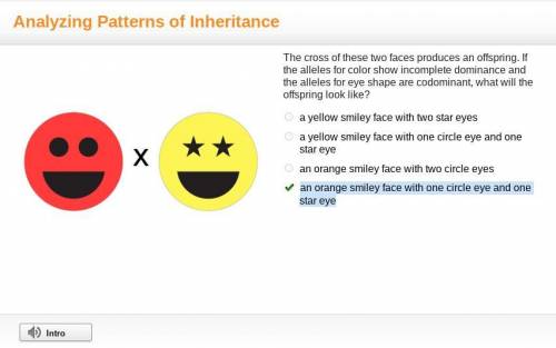 The cross of these two faces produces an offspring. If the alleles for color show incomplete dominan