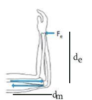 2. How much tension (Fm) must be supplied by the triceps at the elbow joint to stabilize the arm aga