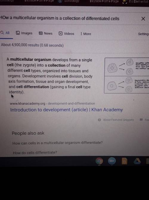 Explain How a multicellular organism is a collection of differentiated cells.