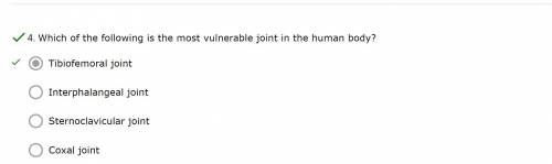 Select the correct answer.

Which of the following joints is the most vulnerable joint in the body?