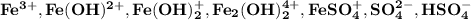 \mathbf{ Fe^{3+}, Fe(OH)^{2+}, Fe(OH)^+_2, Fe_2(OH)^{4+}_2, FeSO_4^+ ,SO_4^{2-}, HSO_4^-}