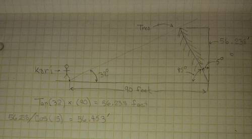 Kari wants to measure the height of a tree. She walks exactly 90 feet away from the base of the tree