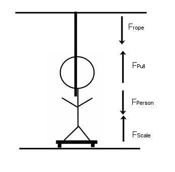 A 80-kg person stands at rest on a scale while pulling vertically downwards on a rope that is above