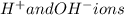 H^+ and OH^- ions