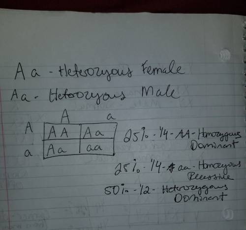 Two parents are heterozygous for a gene that has a simple dominant-recessive pattern of inheritance.