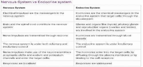 Compare how the nervous system and endocrine system work to send messages through the human body.