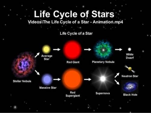 what's the life cycle for the star Sirius A and B. (include Pictures)

WILL NAME BRAINLIEST!!!