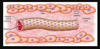 Explain how osmosis will affect animal cells when the cells are placed into and environment with a l