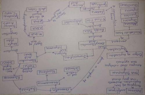 Using at least 25 of the 40 vocab terms below create a Concept Map linking the terms together with m