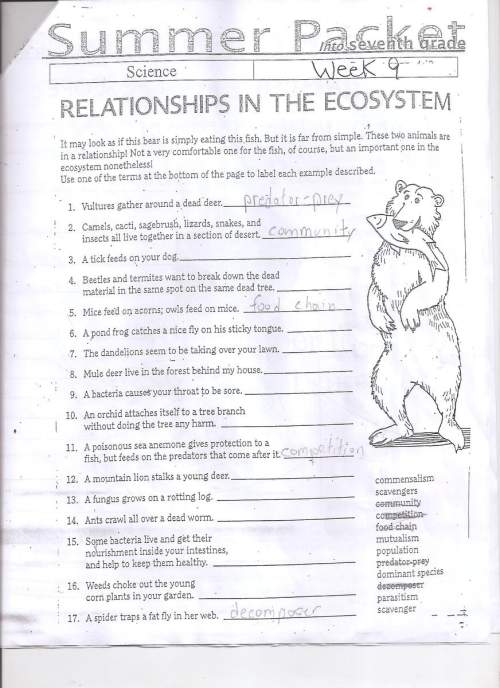 Someone can give me with this answers.