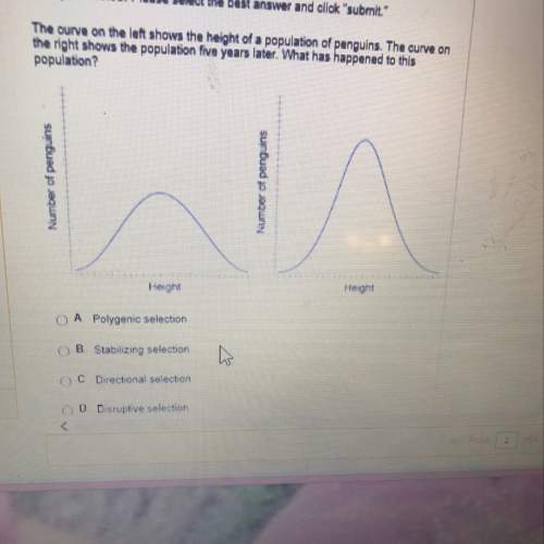 The curve on the left shows the height of a population of penguins . the curve on the right shows th