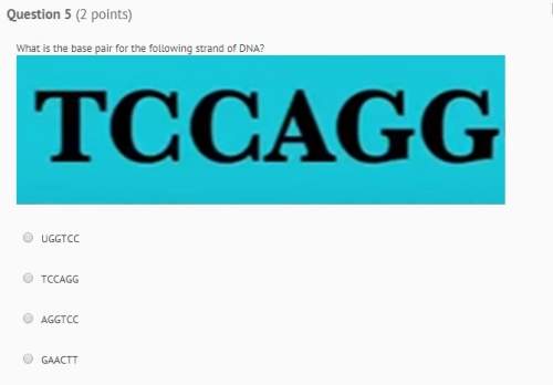 What is the base pair for the following strand of dna:  tccaggyou!
