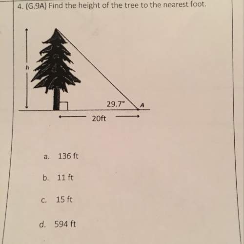 Find the height of the tree to the nearest foot
